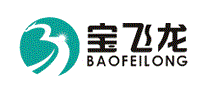 宝飞龙