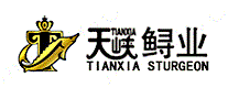 天峡TIANXIA